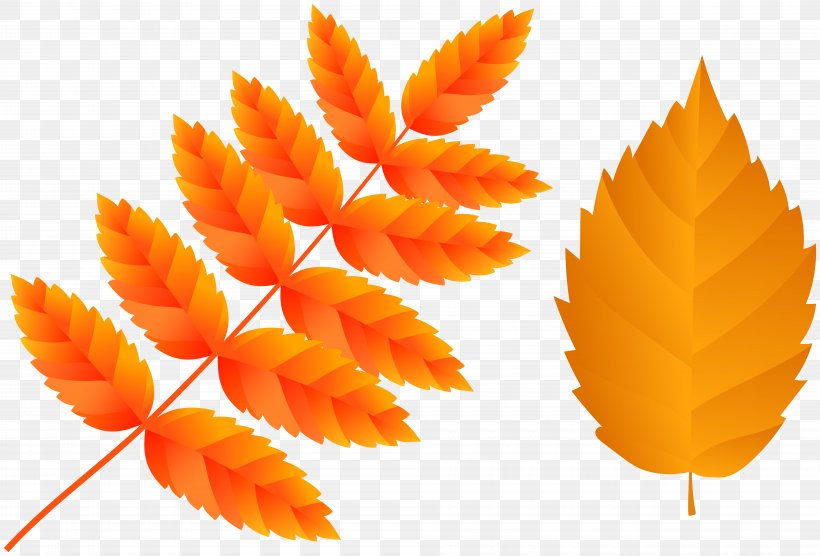 Image Clip Art Autumn Leaf, PNG, 8000x5432px, Autumn, Autumn Leaf Color, Leaf, Orange, Red Download Free