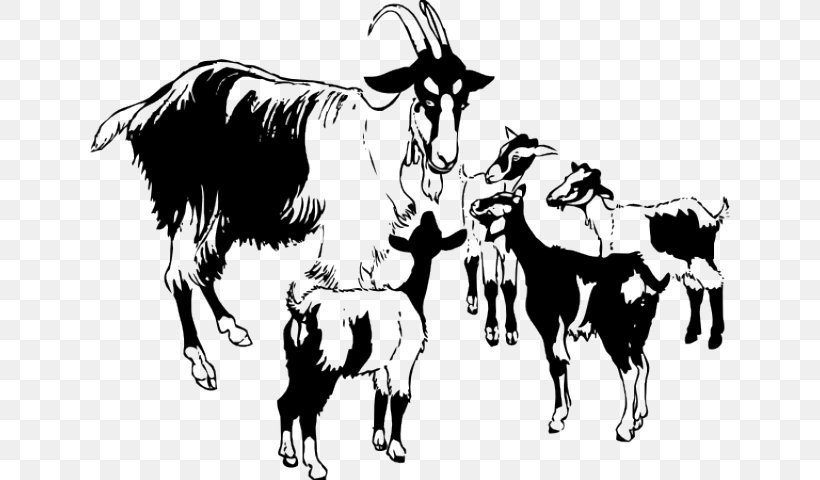 Clip Art Openclipart Vector Graphics Black Bengal Goat Illustration, PNG, 640x480px, Black Bengal Goat, Art, Black And White, Bull, Camel Like Mammal Download Free