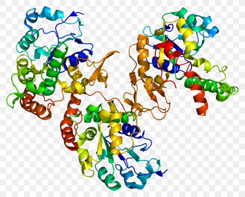 HS3ST1 Heparan Sulfate 2-O-sulfotransferase Enzyme, PNG, 981x789px, Watercolor, Cartoon, Flower, Frame, Heart Download Free