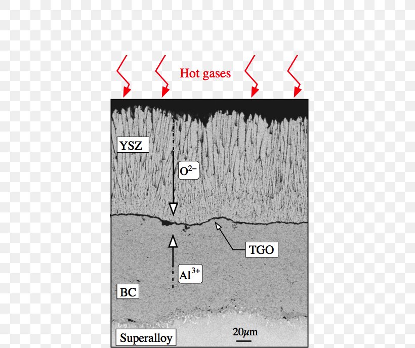 Line Angle Map Tuberculosis, PNG, 700x688px, Map, Area, Diagram, Text, Tuberculosis Download Free