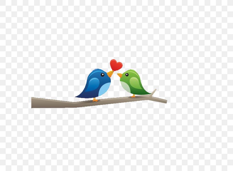 Lovebird Owl Illustration, PNG, 600x600px, Bird, Beak, Bird Flight, Feather, Greeting Card Download Free