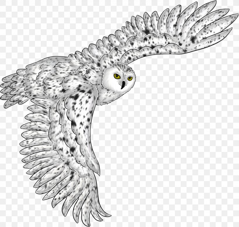 Owl Eagle Beak Line Art Fauna, PNG, 1418x1344px, Owl, Art, Beak, Bird, Bird Of Prey Download Free