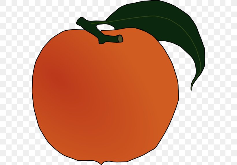 Peach Fruit Clip Art, PNG, 600x571px, Peach, Apple, Flowering Plant, Food, Fruit Download Free