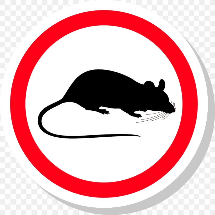 Rat Mouse Pest Control Rodent, PNG, 1024x1024px, Rat, Area, Artwork, Biological Pest Control, Black And White Download Free