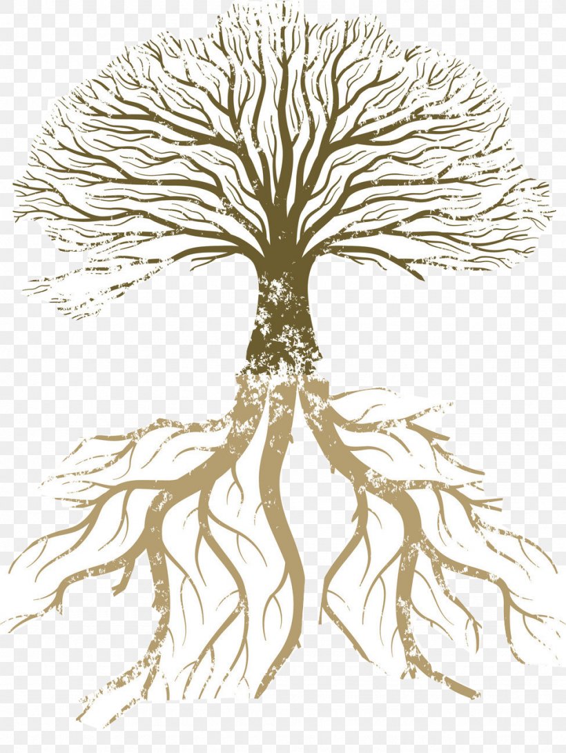 Root Tree Vector Graphics Branch Illustration, PNG, 975x1299px, Root, Art, Black And White, Branch, Drawing Download Free