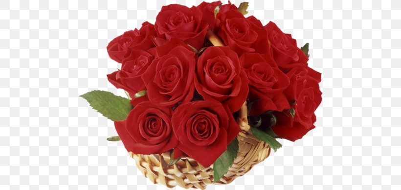 Rose Basket Flower Clip Art, PNG, 500x390px, Rose, Artificial Flower, Basket, Cut Flowers, Floral Design Download Free