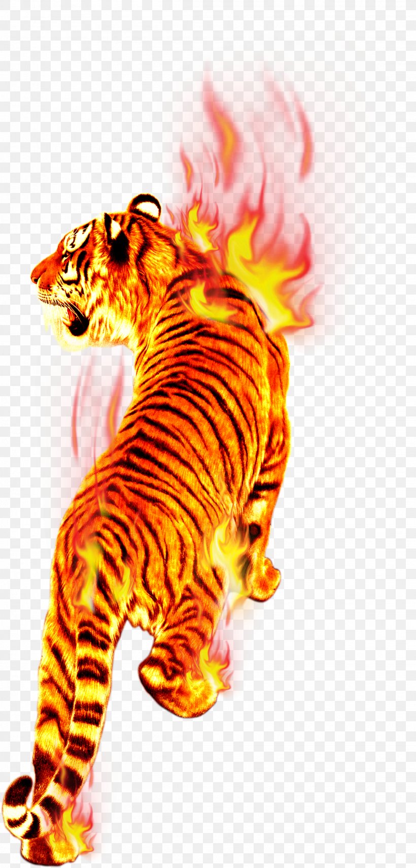 Flame Fire Tiger Combustion, PNG, 2222x4631px, Tiger, Art, Big Cats, Carnivora, Carnivoran Download Free