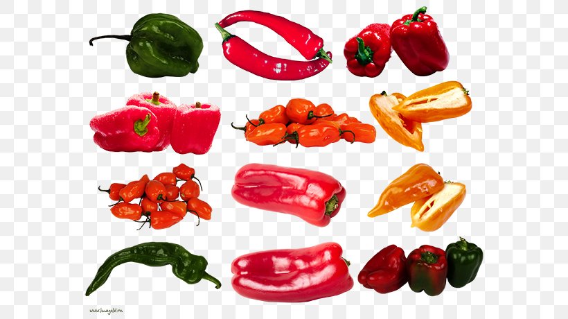 Habanero Piquillo Pepper Bell Pepper Tabasco Pepper Serrano Pepper, PNG, 600x460px, Habanero, Bell Pepper, Bell Peppers And Chili Peppers, Black Pepper, Capsicum Annuum Download Free