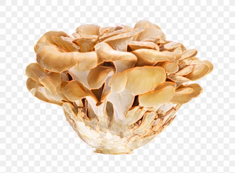 Hen-of-the-wood Oyster Mushroom Vitamin D Edible Mushroom, PNG, 900x662px, Henofthewood, Commodity, Edible Mushroom, Extract, Food Download Free