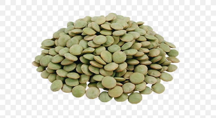 Nut Lentil Legume Seed Bean, PNG, 600x450px, Nut, Artikel, Bean, Chickpea, Commodity Download Free