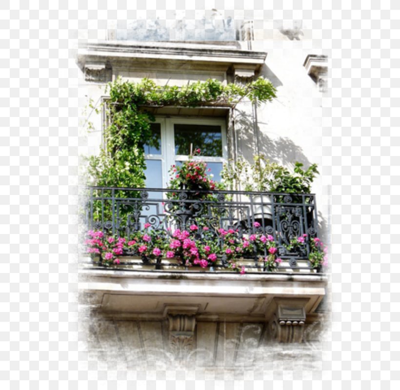 Window Facade Flower Property Balcony, PNG, 579x800px, Window, Balcony, Facade, Flora, Flower Download Free