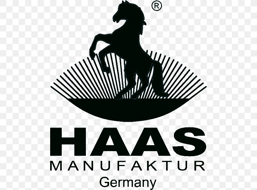 Haas Cleaning Cloth 100% Cotton Logo Germany Brand Font, PNG, 500x606px, Logo, Black, Black And White, Black M, Brand Download Free