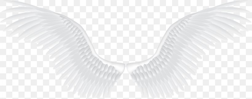 Light Angel, PNG, 1024x405px, Light, Angel, Beak, Black And White, Drawing Download Free