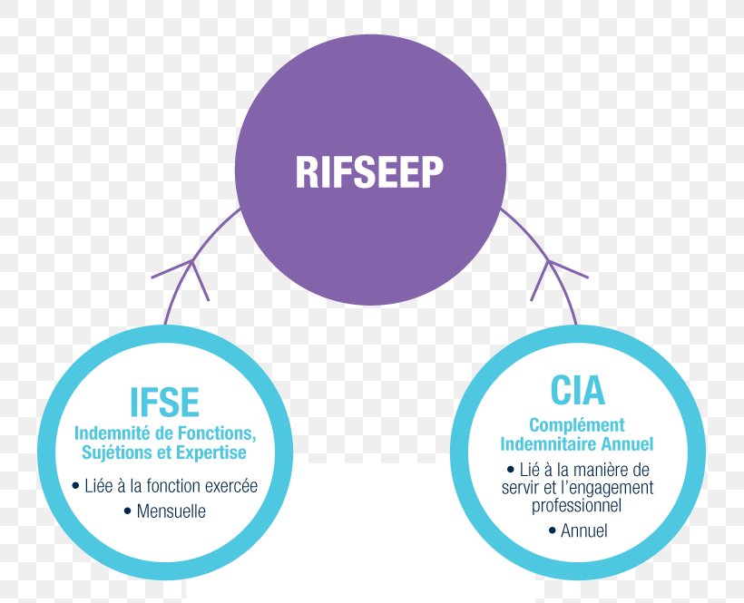 RIFSEEP Organization Public Scientific And Technical Research Establishment Centre National De La Recherche Scientifique Civil Service, PNG, 800x665px, 2017, Organization, Area, Brand, Civil Service Download Free