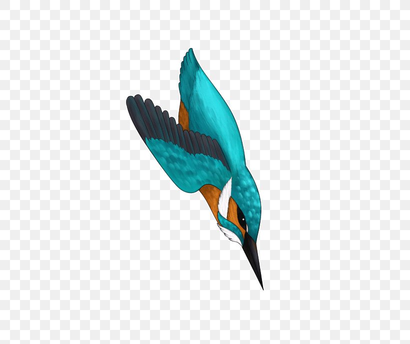 Beak Teal Bird Wing Feather, PNG, 548x688px, Beak, Bird, Feather, Teal, Turquoise Download Free