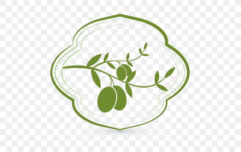 Logo Olive Oil Al Jawf Region, PNG, 569x519px, Logo, Al Jawf Region, Dinnerware Set, Food, Fruit Download Free