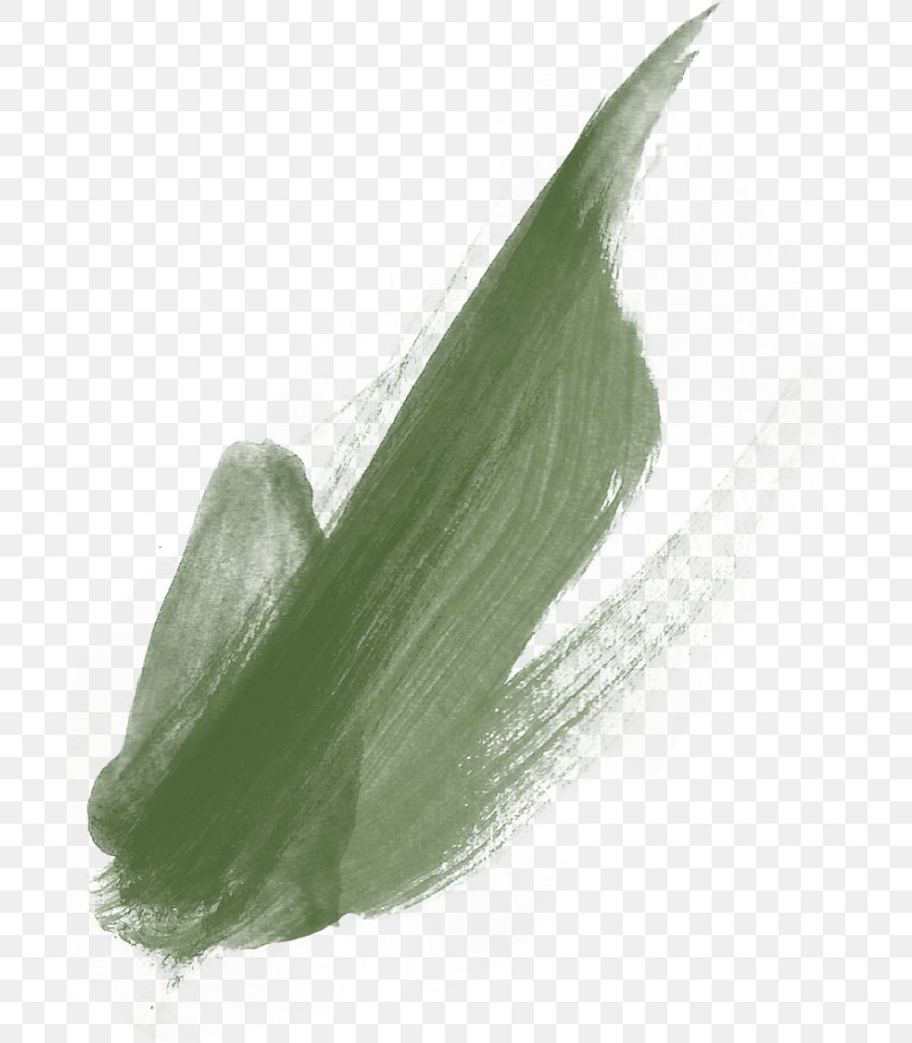 Paint Brushes Pigment Image, PNG, 700x937px, Paint Brushes, Brush, Color, Gouache, Leaf Download Free