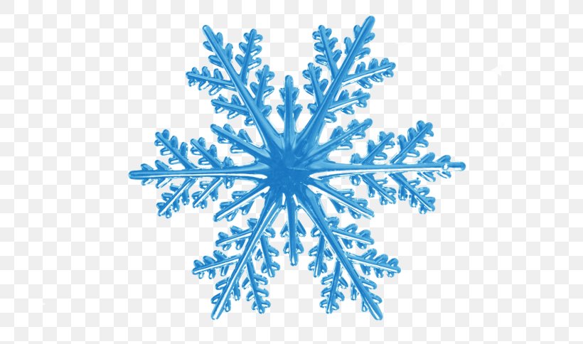 Snowflake Rotational Symmetry, PNG, 700x484px, Snowflake, Blue, Crystal, Dendrite, Organism Download Free