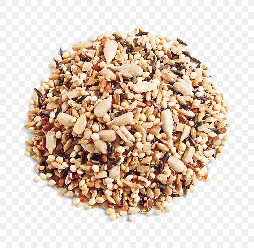 Bird Food Seed Organic Food, PNG, 800x800px, Bird, Bird Feeders, Bird Food, Bran, Cereal Download Free