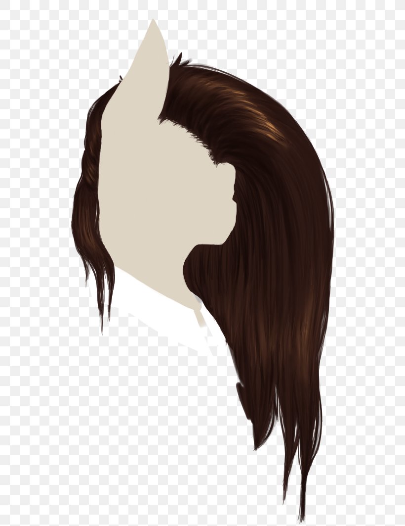Mane Mustang Hair Coloring Brown Hair, PNG, 577x1063px, Mane, Black, Black Hair, Brown, Brown Hair Download Free