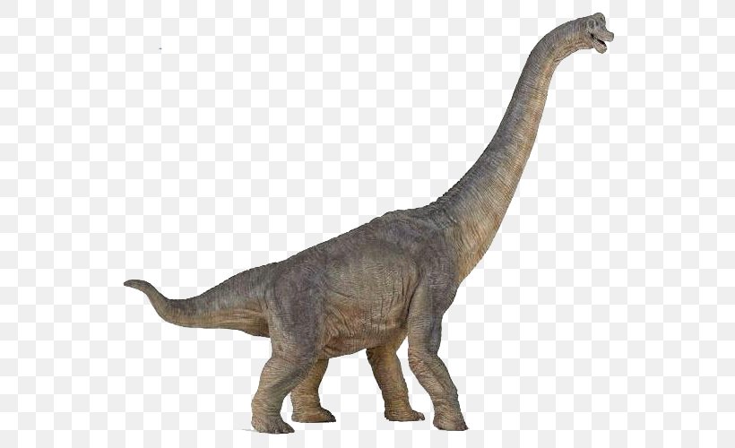 Brachiosaurus Tyrannosaurus Dinosaur Morrison Formation Baryonyx, PNG, 603x500px, Brachiosaurus, Animal Figure, Armour, Baryonyx, Cretaceous Download Free