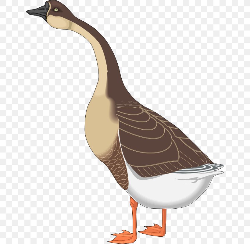 Canada Goose Mother Goose Nene Duck, PNG, 650x800px, Goose, Beak, Bird, Branta, Canada Goose Download Free