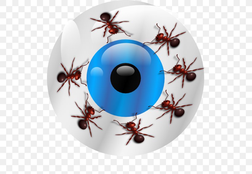 Insect Invertebrate Pest Christmas Ornament Eye, PNG, 600x569px, Insect, Christmas, Christmas Ornament, Eye, Invertebrate Download Free