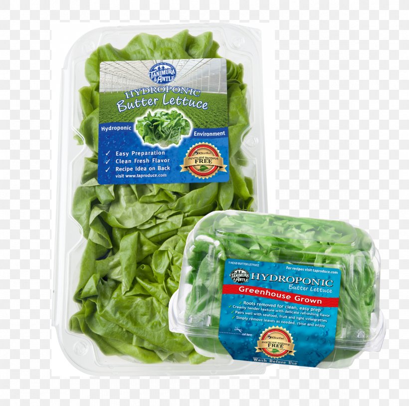 Lettuce Pesticide Residue Tanimura & Antle, PNG, 1184x1176px, Lettuce, Chard, Crop, Food, Hydroponics Download Free