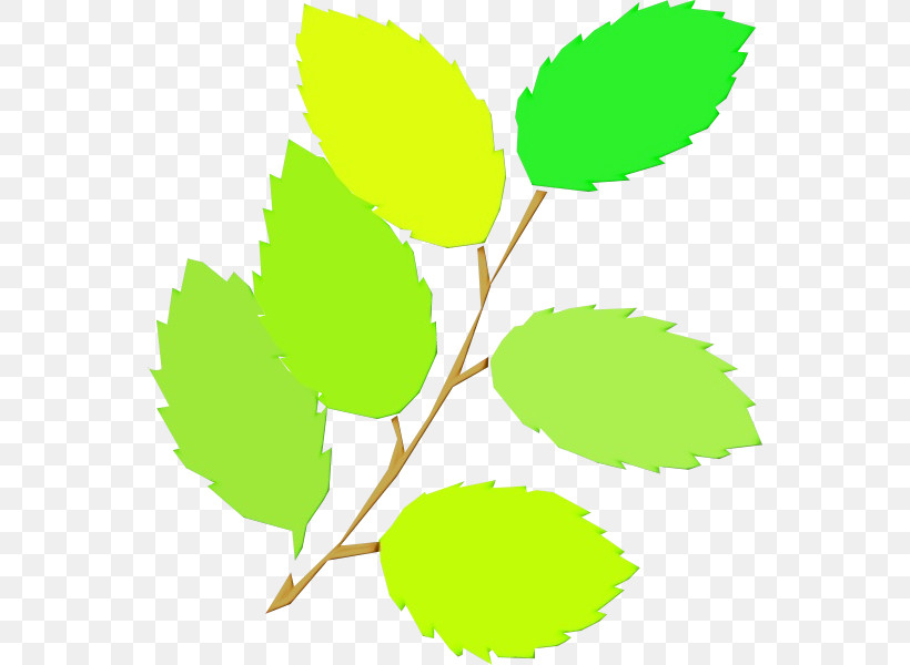 Leaf Plant Stem Twig Tree Green, PNG, 600x600px, Watercolor, Geometry, Green, Leaf, Line Download Free