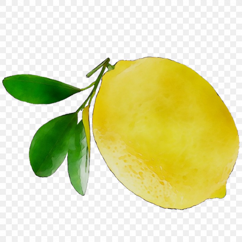 Citron Lemon Citric Acid Yuzu, PNG, 1107x1107px, Citron, Acid, Ataulfo, Citric Acid, Citrus Download Free