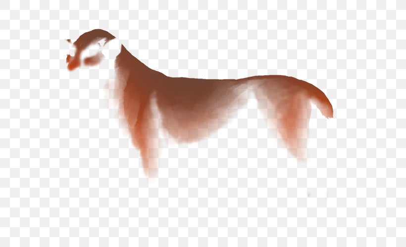 Dog Breed Italian Greyhound Puppy Companion Dog, PNG, 640x500px, Dog Breed, Carnivoran, Companion Dog, Dog, Dog Like Mammal Download Free