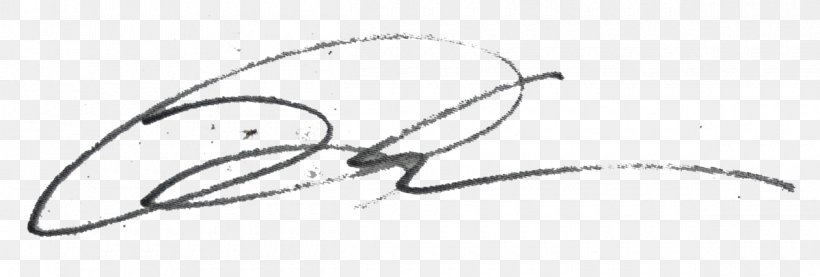 File Signature Computer File Handwriting Clip Art, PNG, 1200x406px, Signature, Area, Auto Part, Black And White, Drawing Download Free