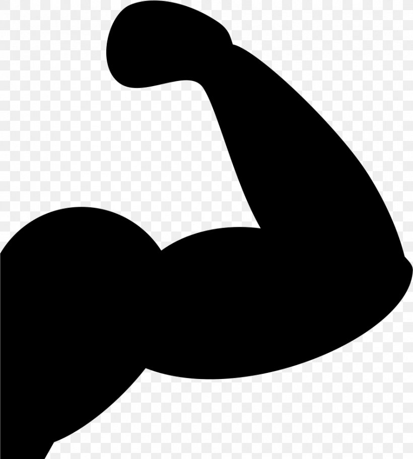 Muscle Arm Biceps, PNG, 882x981px, Muscle, Anatomy, Arm, Biceps, Black Download Free