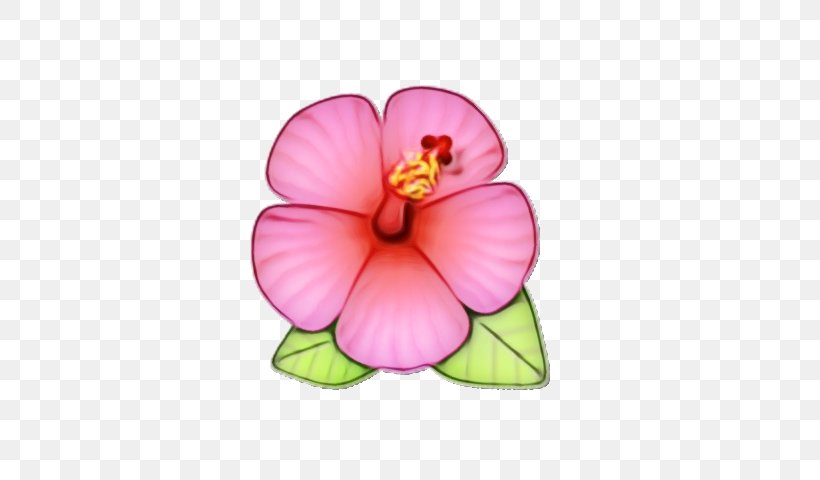 Pink Flower Cartoon, PNG, 640x480px, Rosemallows, Chinese Hibiscus, Flower, Hawaiian Hibiscus, Hibiscus Download Free