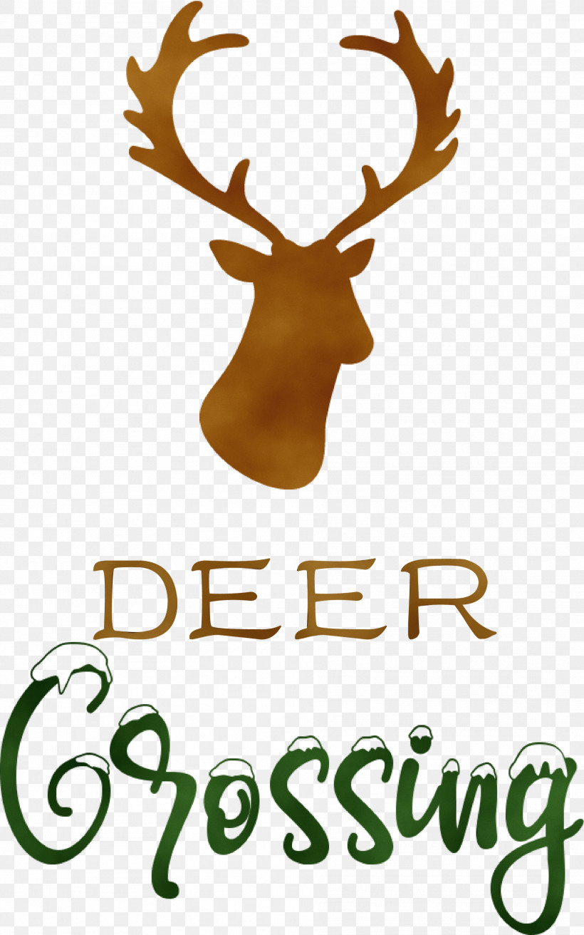 Reindeer, PNG, 1874x3000px, Deer Crossing, Antler, Antlerfawn, Deer, Elk Download Free