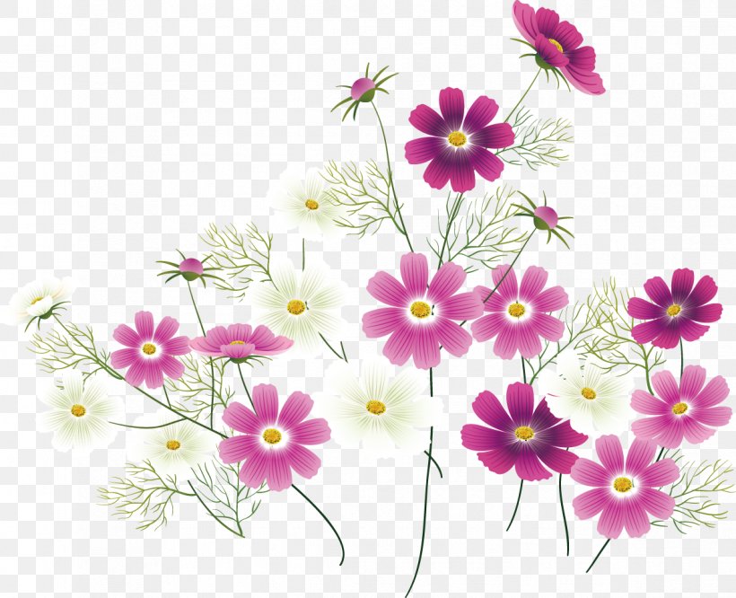 Wildflower Clip Art, PNG, 1186x964px, Flower, Annual Plant, Blossom, Blume, Chrysanths Download Free