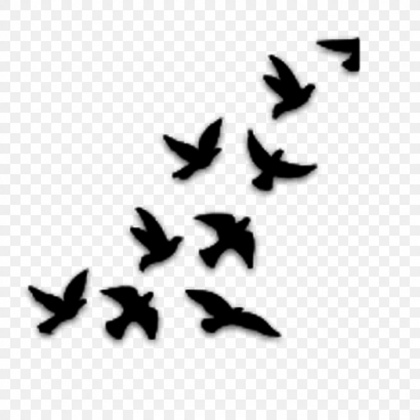 Bird Drawing YouTube Stencil, PNG, 1024x1024px, Bird, Beak, Black And White, Digital Art, Drawing Download Free