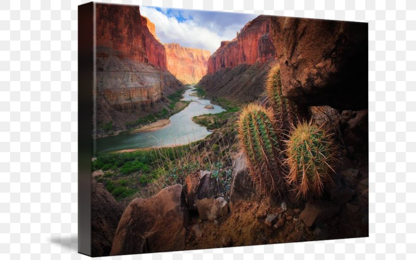 Canvas Print Work Of Art Printing, PNG, 650x513px, Canvas Print, Art, Cactaceae, Canvas, Canyon Download Free