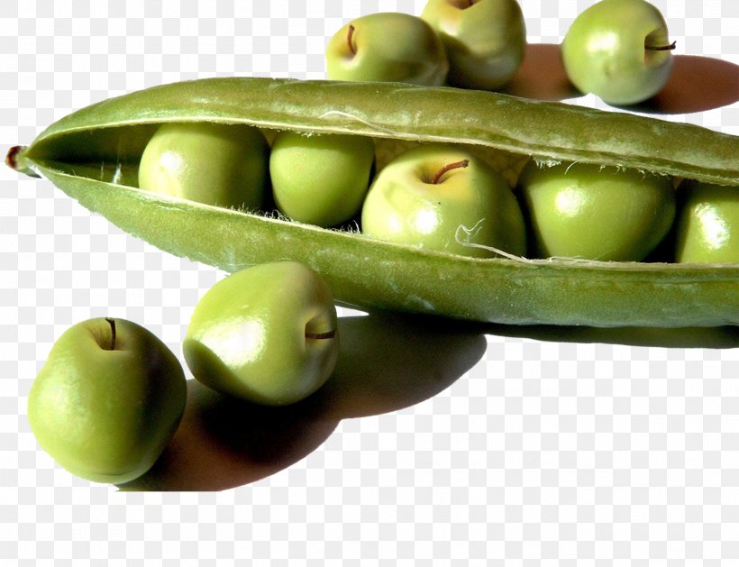 Wrap Pea Soybean Food Genetically Modified Organism, PNG, 2607x2001px, Wrap, Apple, Bean, Cooking, Eating Download Free