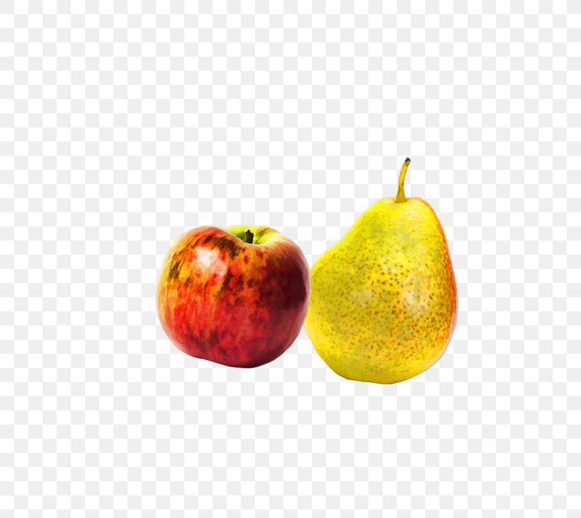 Apple Asian Pear Clip Art, PNG, 736x732px, Apple, Accessory Fruit, Asian Pear, Auglis, Food Download Free