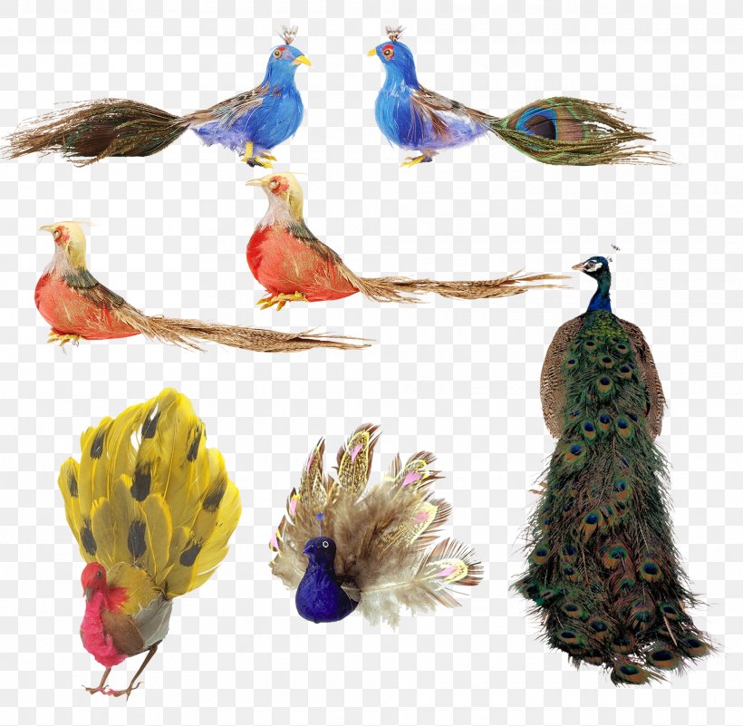 Bird Feather Peafowl, PNG, 1920x1877px, Bird, Asiatic Peafowl, Beak, Drawing, Fauna Download Free