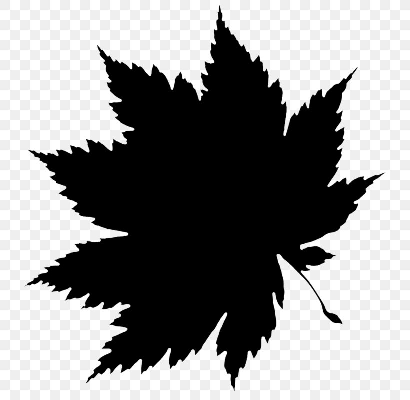 Clip Art Leaf Image Autumn, PNG, 724x800px, Leaf, Autumn, Autumn Leaf Color, Black, Blackandwhite Download Free