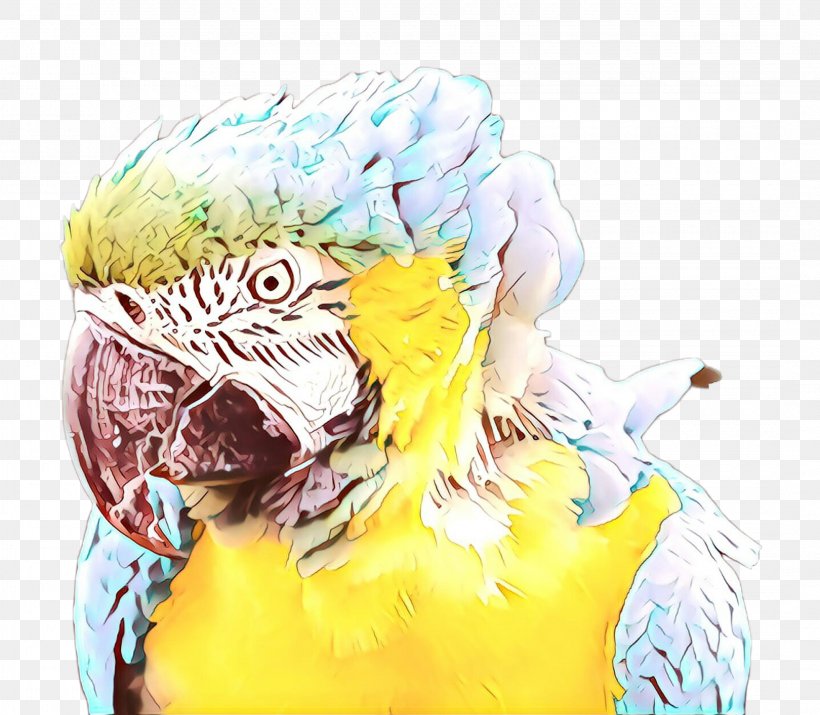 Macaw Parakeet Beak Pet, PNG, 2140x1867px, Cartoon, Beak, Bird, Budgie, Cockatiel Download Free