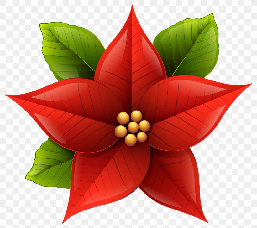 Poinsettia Christmas Clip Art, PNG, 6414x5697px, Poinsettia, Christmas, Document, Flower, Free Content Download Free