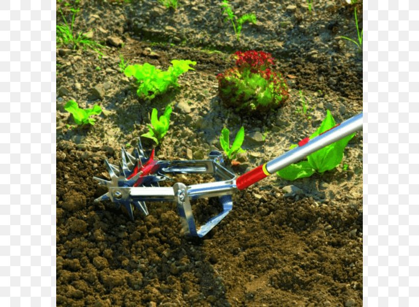 Soil Cultivator Garden Tool Weeder, PNG, 800x600px, Soil, Cultivator, Cultivator Manual, Ecosystem, Garden Download Free