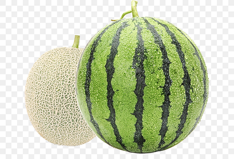 Watermelon, PNG, 648x557px, Melon, Cantaloupe, Citrullus, Cucumber Gourd And Melon Family, Cucumis Download Free