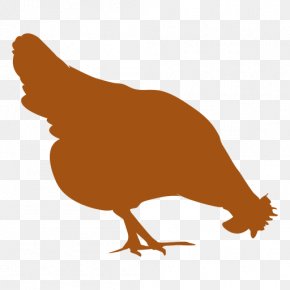 Brahma Chicken Rhode Island Red Sussex Chicken Broiler Leghorn Chicken PNG