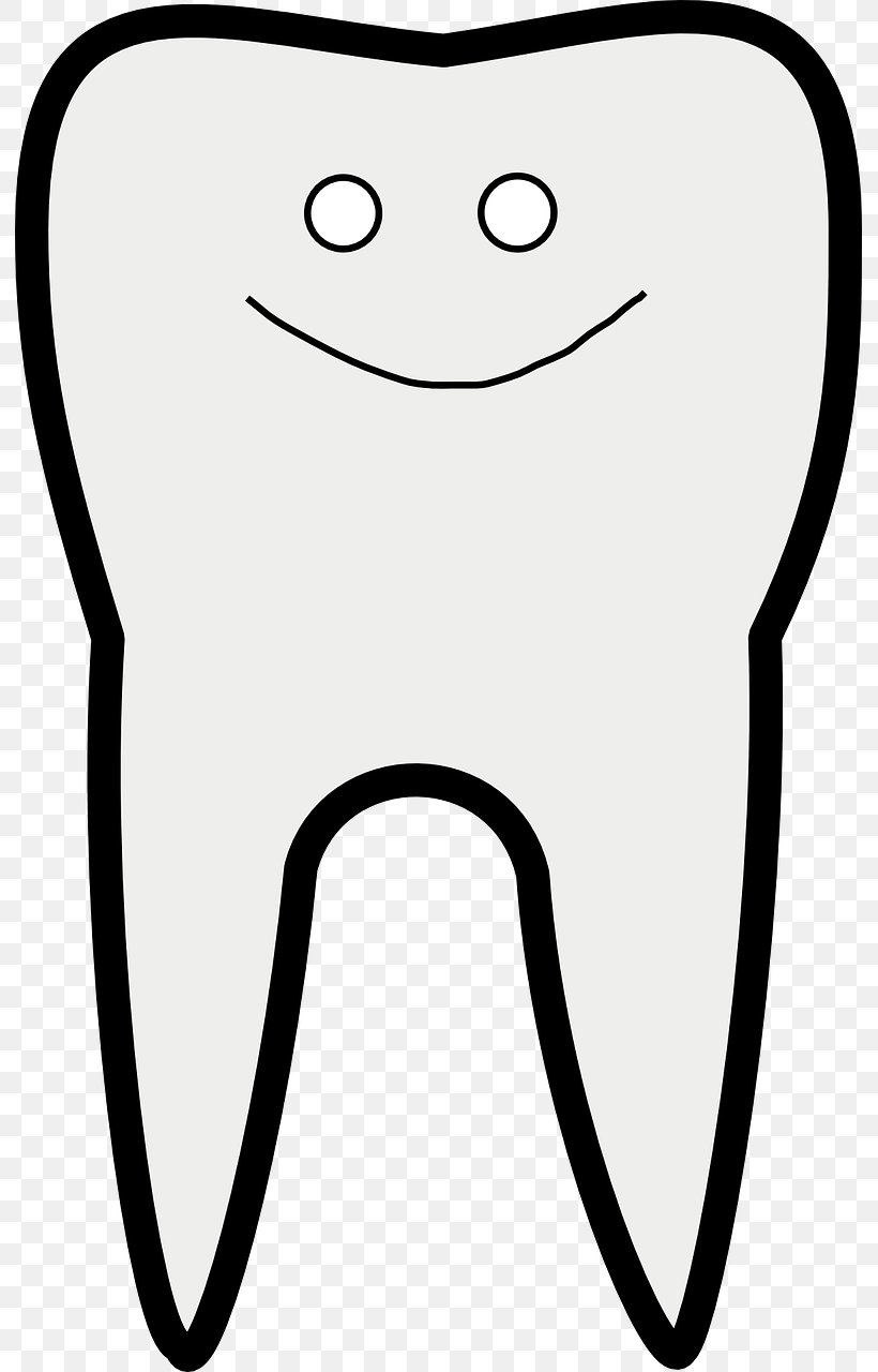 Human Tooth Dentistry Clip Art, PNG, 791x1280px, Watercolor, Cartoon, Flower, Frame, Heart Download Free