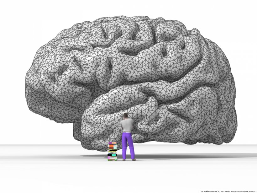 Neuroscience Neuron Human Brain, PNG, 1200x900px, Watercolor, Cartoon, Flower, Frame, Heart Download Free