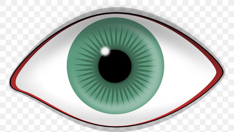 Iris Human Eye Retina Visual Perception, PNG, 1280x727px, Watercolor, Cartoon, Flower, Frame, Heart Download Free
